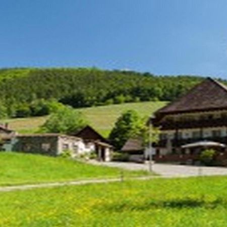 Landgasthaus Gruener Baum シモンスヴァルト エクステリア 写真